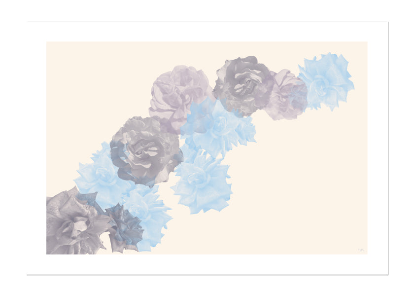 beige, flowers, soft blooms, elegant, Power of Flower collection, botanical art