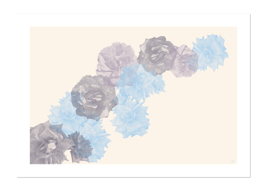 beige, flowers, soft blooms, elegant, Power of Flower collection, botanical art