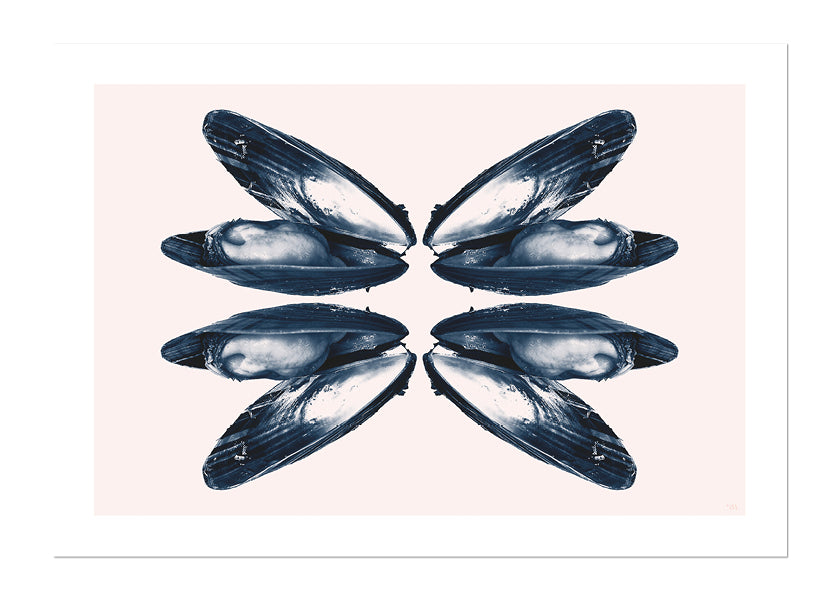 Pink clam poster for kitchen, printed on high-quality matte paper for vibrant, long-lasting prints, displayed flat.